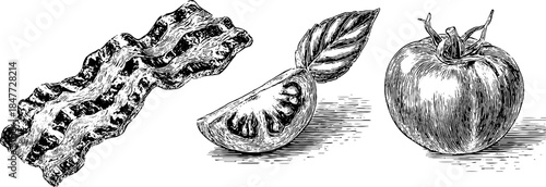 Vintage engraved illustration of bacon, tomato, and basil set for culinary design