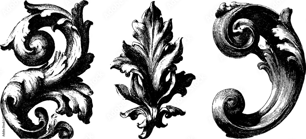 Fototapeta premium Baroque scroll decorative elements set with vintage engraved design for historical projects