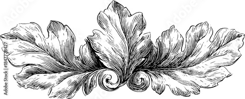 Elegant baroque wing design vintage engraved illustration