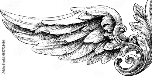 Baroque winged ornament vintage engraving set for design