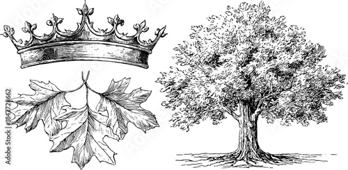 Vintage engraved illustration set featuring crown, leaf branch, and tree sketch