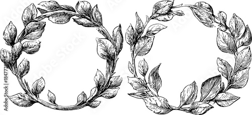 Vintage botanical engravings: trio of hand-drawn wreaths for retro design