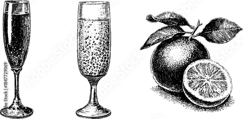 Vintage engraved set of champagne flutes and citrus fruits for elegant celebration design