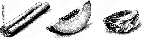 Vintage engraved sketch set of cinnamon stick, melon slice, and stone for design and decoration