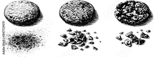 Vintage hand drawn engraving of three cookies with crumbled textures