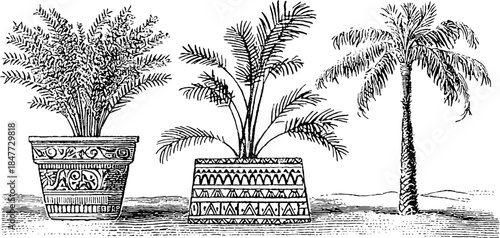 Vintage egyptian decorative plant pots illustration set for design and decor