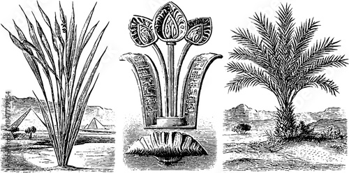 Ancient egyptian plant symbols vintage engraved set for design and decoration