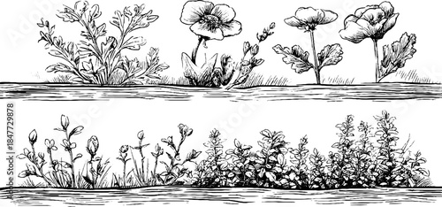 Vintage engraved illustration set of floral embroidered designs for retro art and decoration