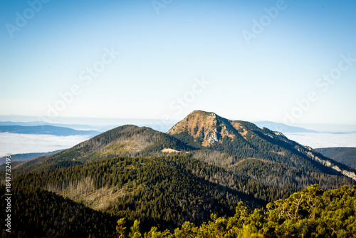 Fototapeta Naklejka Na Ścianę i Meble -  Winter view from Grzes peak in the Western Tatras
