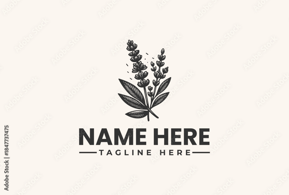 Obraz premium A minimalist logo illustration featuring a stylized lavender plant with leaves and flowers on a light beige background, accompanied by placeholder text for a business or brand name and