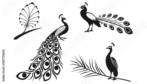 Four stylized black and white illustrations of peacocks and foliage.