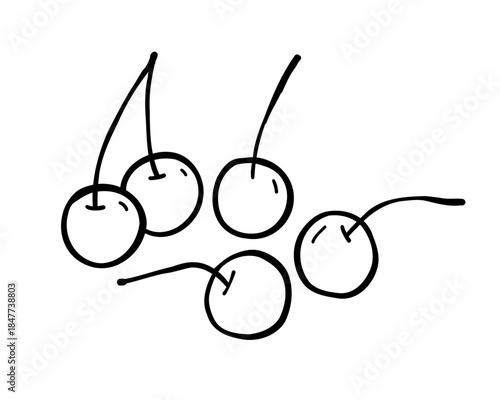 Cherry berry hand drawn doodle vector sketch. Outline illustration isolated on white background.
