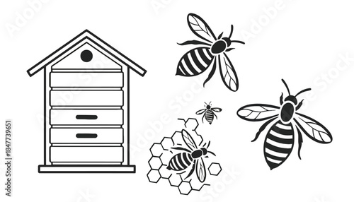 A beehive with bees and honeycomb is depicted in a simple illustration.