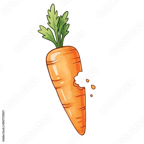 Cute cartoon carrot character with fresh orange vegetable and green leaves illustration