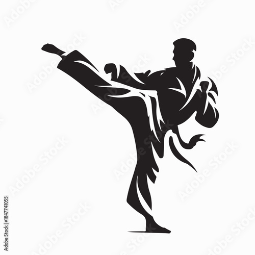 Male Taekwondo Player Kick Silhouette Vector on White Background