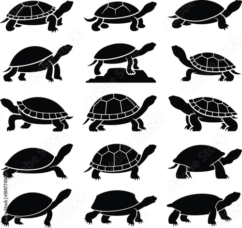 Collection of turtle silhouette icons featuring various poses, reptile shapes, walking turtles, simple black designs, nature wildlife symbols and graphic illustration set
