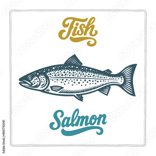 Hand drawn Salmon fish illustration in vintage engraving style with fish lettering. Perfect for seafood design, restaurant branding, menus, labels, posters, and packaging. Part of set.