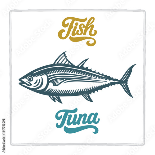 Hand drawn Tuna fish illustration in vintage engraving style with fish lettering. Perfect for seafood design, restaurant branding, menus, labels, posters, and packaging. Part of set.