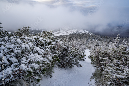 Fototapeta Naklejka Na Ścianę i Meble -  Winter landscape on Babia Gora mountain trail, Poland
