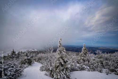 Fototapeta Naklejka Na Ścianę i Meble -  Winter landscape on Babia Gora mountain trail, Poland
