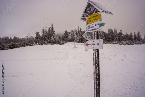 Fototapeta Naklejka Na Ścianę i Meble -  Winter landscape on Babia Gora mountain trail, Poland

