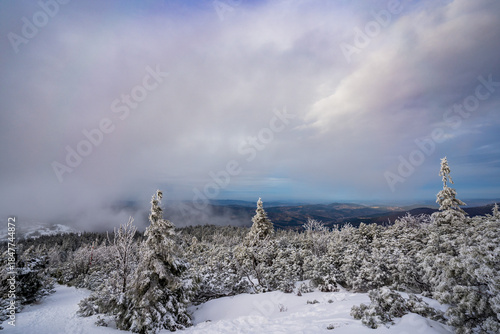 Fototapeta Naklejka Na Ścianę i Meble -  Winter landscape on Babia Gora mountain trail, Poland
