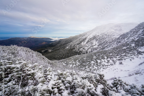 Fototapeta Naklejka Na Ścianę i Meble -  Winter landscape on Babia Gora mountain trail, Poland

