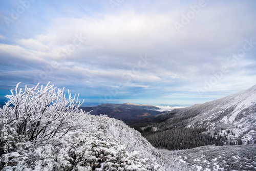 Fototapeta Naklejka Na Ścianę i Meble -  Winter landscape on Babia Gora mountain trail, Poland
