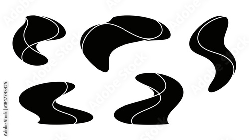Abstract Black and White Organic Shapes with Flowing Lines Vector Design Elements