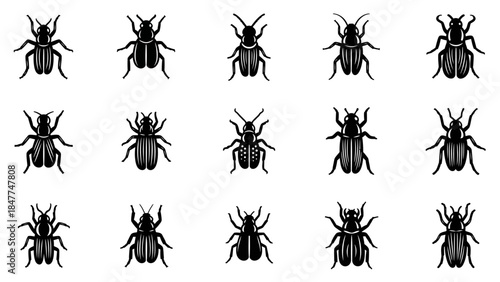 Collection of stylized black beetle icons on a white background for design purposes