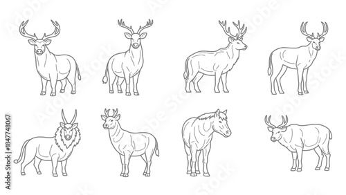 Collection of various wild and domestic animals in simple line art illustrations