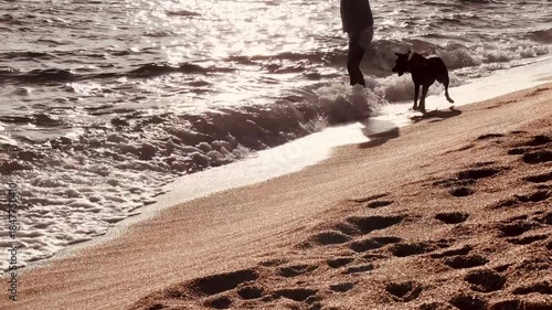 Slow Motion Video of Person and Dog Enjoying Sunset While Walking Into Water