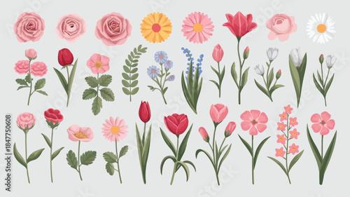 Colorful floral illustration featuring a variety of flowers and plants with vibrant colors and detailed petals