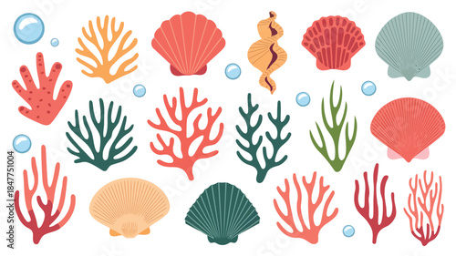 Colorful illustration of various seashells and coral reefs in different shapes and colors
