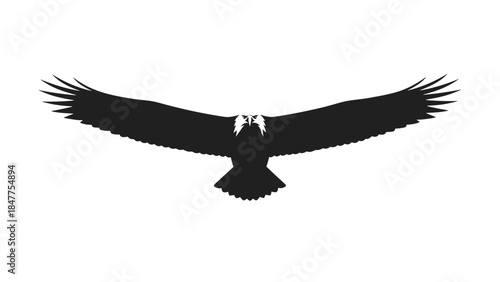 Black Silhouette of Eagle in Flight 1.