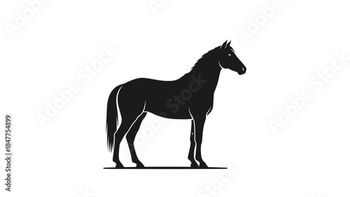 Black Silhouette of a Standing Horse.