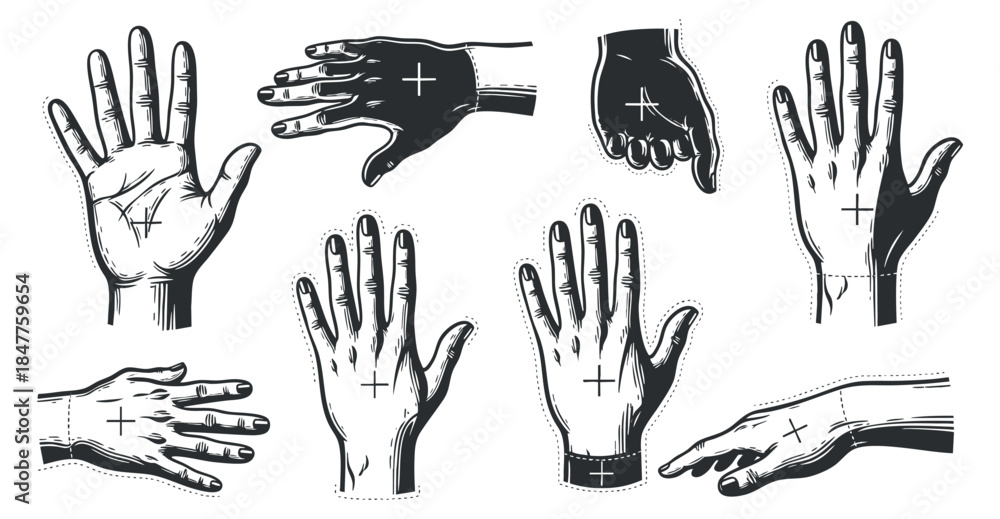 Fototapeta premium A collection of hand gestures and poses in black and white sketch vector style, suitable for artistic projects and graphic design
