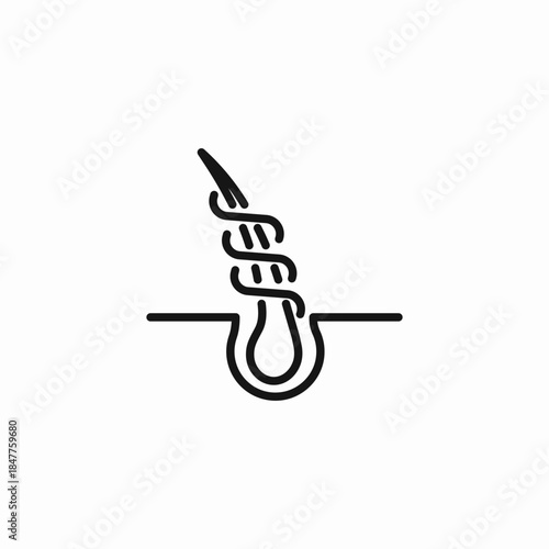 hair follicle dna icon sign vector