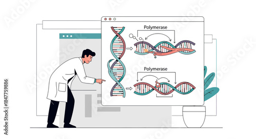 Scientist analyzing dna replication process on a digital screen for scientific advancement study