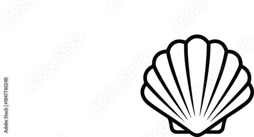 A classic and elegant illustration of a scallop shell, a symbol of journeys, protection, and divine feminine energy, rendered in a simple line art style on a clean white background