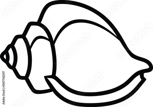 Outline of a Seashell A Simple Line Drawing