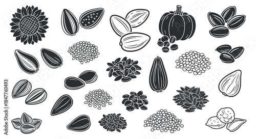 A collection of various seeds including sunflower, pumpkin, and sesame in black and white vector style, ideal for health and nutrition projects