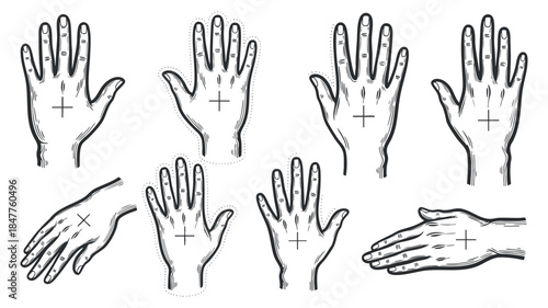 A collection of various hand gestures and positions in detailed line art vector style, suitable for educational and artistic projects