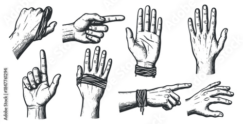A collection of hand gestures and poses in vintage black and white vector style, suitable for communication and artistic projects