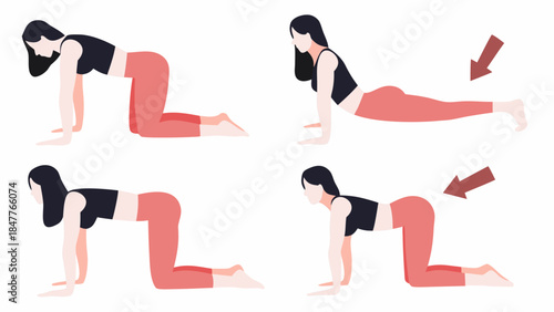 Illustration showing a woman performing cat cow yoga poses with arrows indicating movement and posture changes