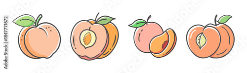 A vibrant collection of peach illustrations depicting whole fruit, sliced halves, and juicy wedges