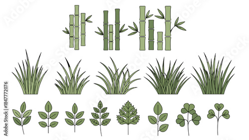 Assortment of Green Flora: Bamboo Stalks, Grassy Bunches, and Various Leaf Varieties on Black.