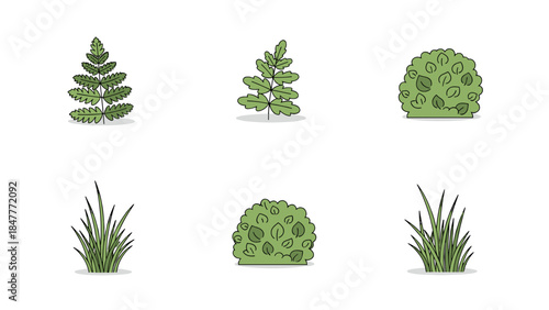 Green botanical garden illustrations featuring assorted foliage, ferns, grasses, and dense shrubs for landscaping design inspiration and natural element visual assets.