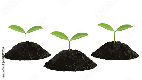 Three young seedlings, each in its own pile of dark soil, demonstrating the early stages of plant development and the importance of nurturing growth.