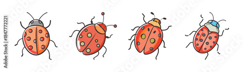 A charming collection of hand-drawn ladybug illustrations showcasing vibrant insects